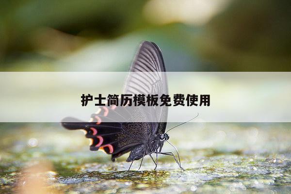 护士简历模板免费使用