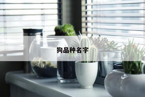 狗品种名字