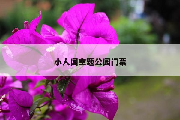 小人国主题公园门票