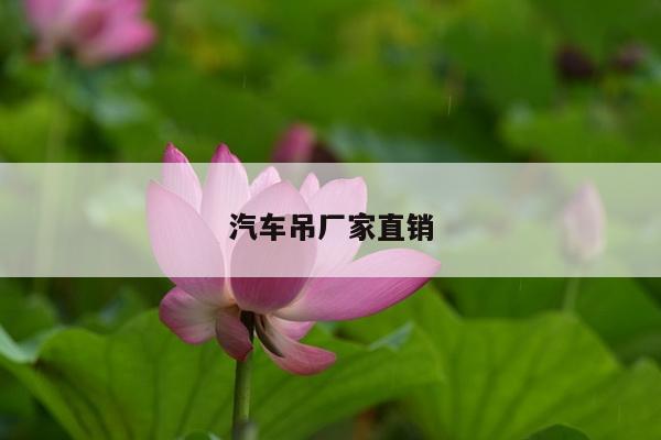 汽车吊厂家直销