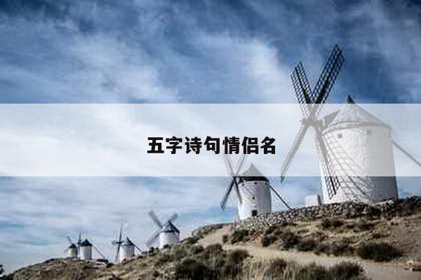 五字诗句情侣名