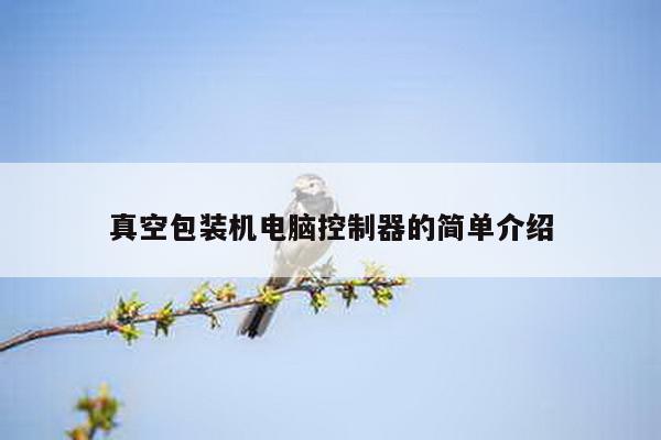 真空包装机电脑控制器的简单介绍