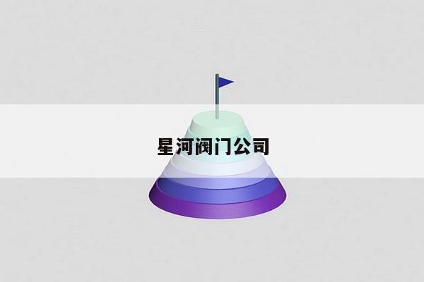 星河阀门公司