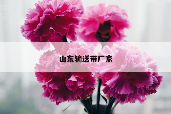 山东输送带厂家