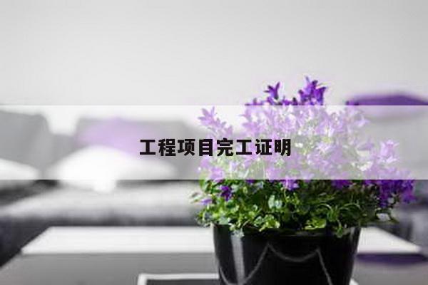 工程项目完工证明