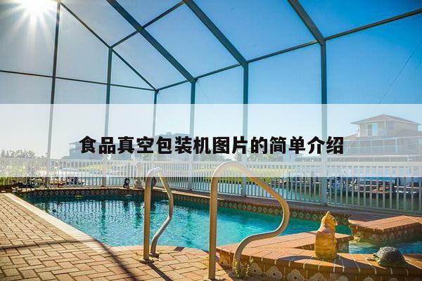 食品真空包装机图片的简单介绍