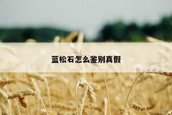 蓝松石怎么鉴别真假