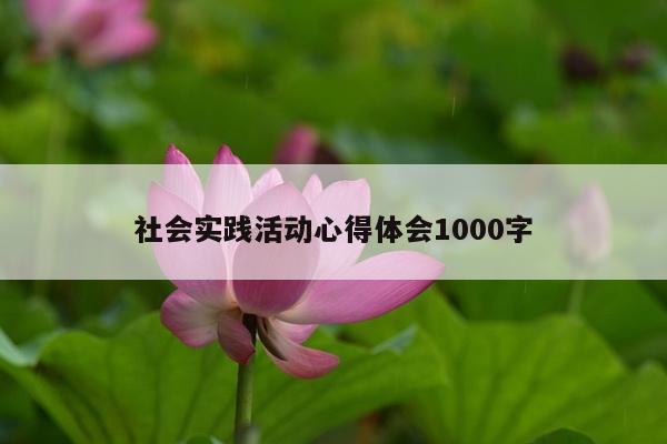 社会实践活动心得体会1000字