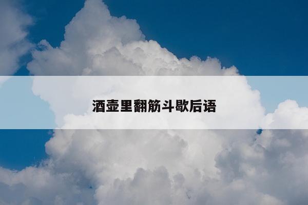 酒壶里翻筋斗歇后语