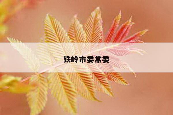 铁岭市委常委