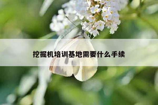 挖掘机培训基地需要什么手续