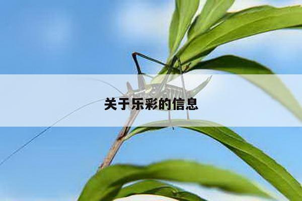 关于乐彩的信息
