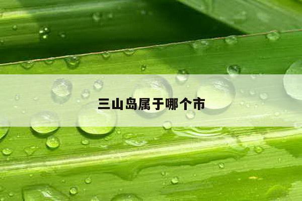 三山岛属于哪个市