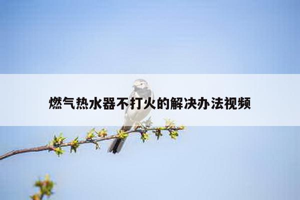 燃气热水器不打火的解决办法视频