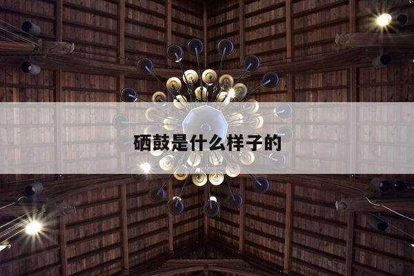 硒鼓是什么样子的
