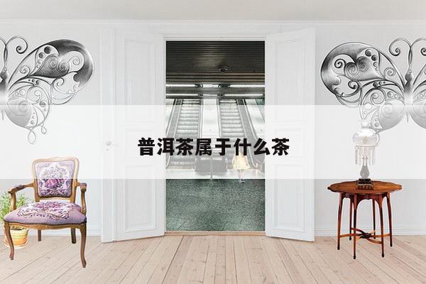 普洱茶属于什么茶