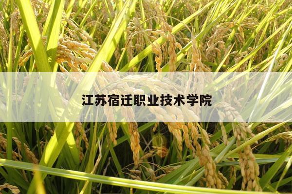 江苏宿迁职业技术学院
