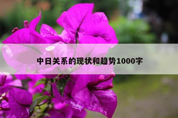 中日关系的现状和趋势1000字