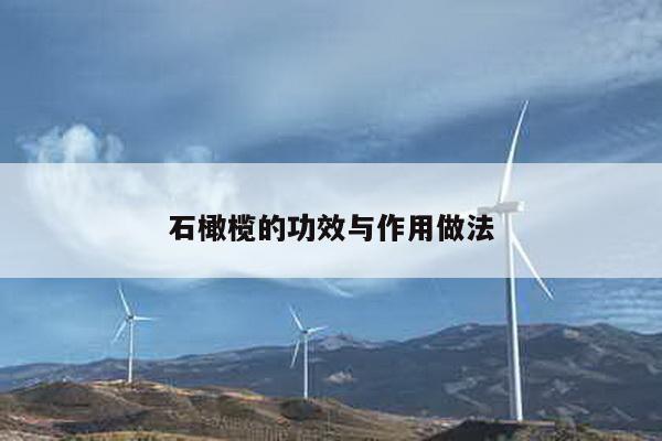 石橄榄的功效与作用做法