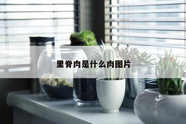 里脊肉是什么肉图片