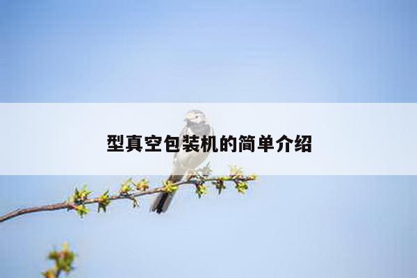 型真空包装机的简单介绍