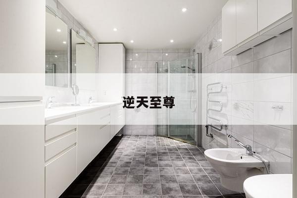 逆天至尊