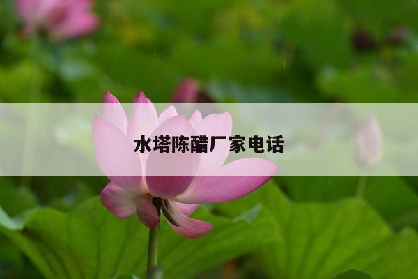 水塔陈醋厂家电话
