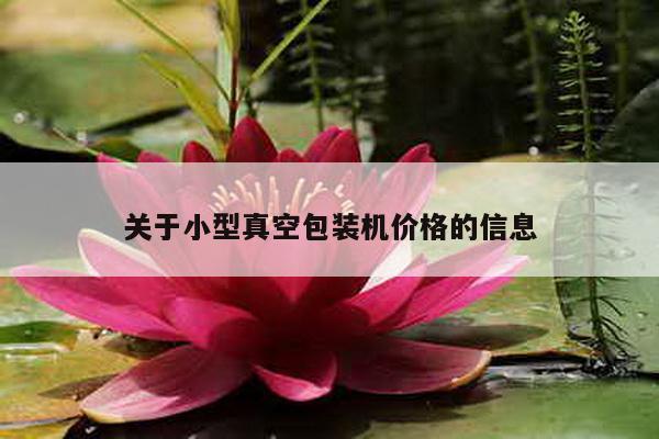 关于小型真空包装机价格的信息