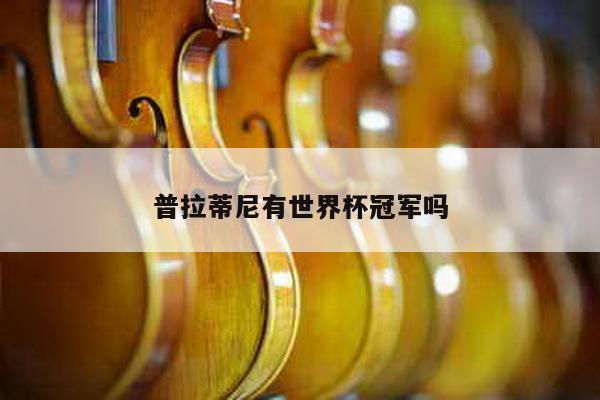 普拉蒂尼有世界杯冠军吗