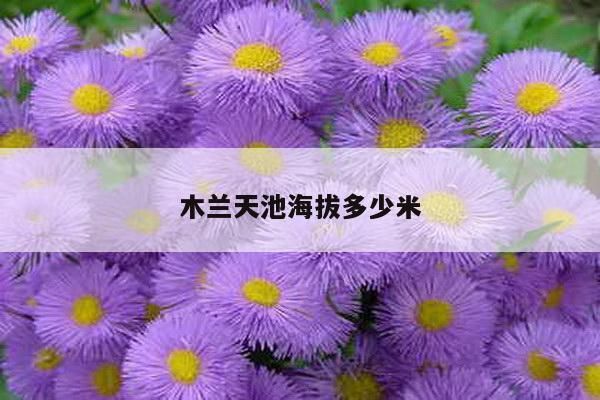 木兰天池海拔多少米