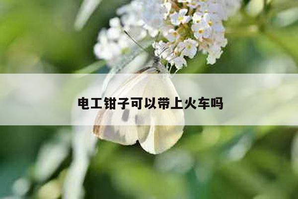 电工钳子可以带上火车吗