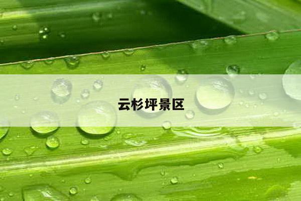 云杉坪景区