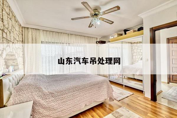 山东汽车吊处理网