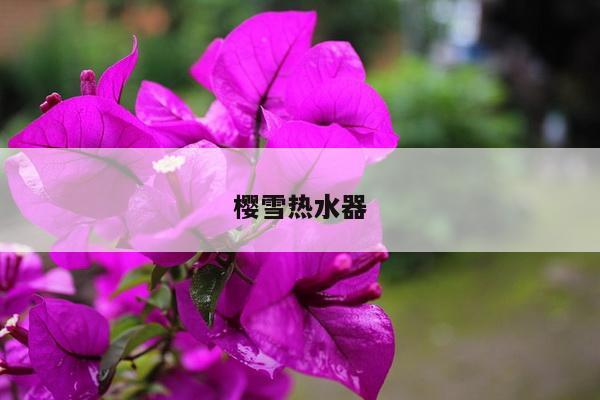樱雪热水器