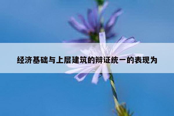 经济基础与上层建筑的辩证统一的表现为