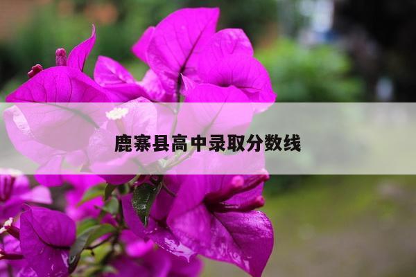 鹿寨县高中录取分数线