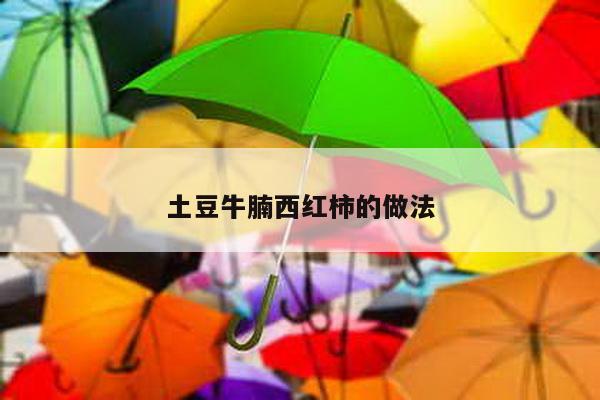 土豆牛腩西红柿的做法