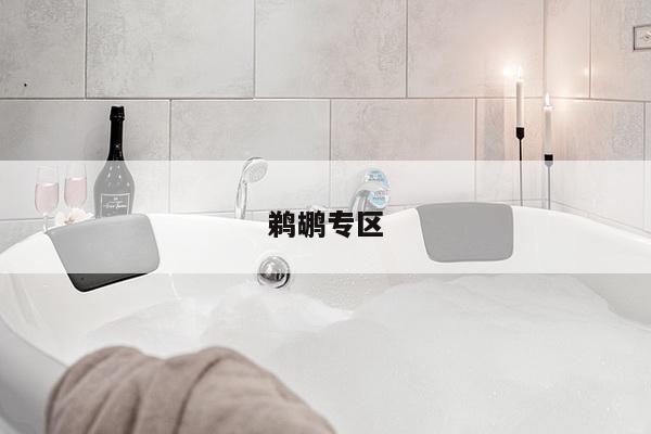 鹈鹕专区