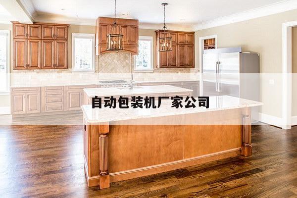 自动包装机厂家公司