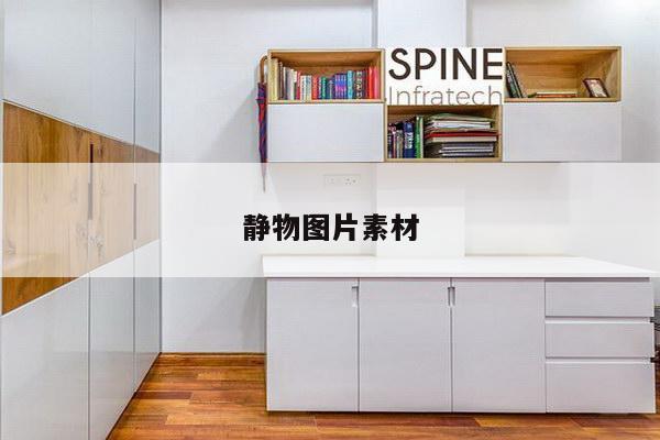 静物图片素材