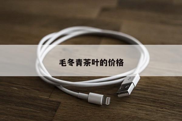 毛冬青茶叶的价格