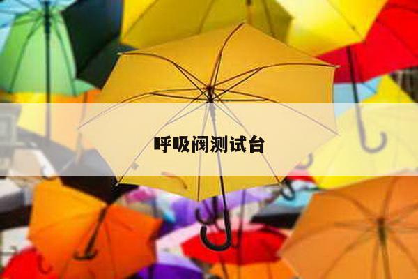 呼吸阀测试台