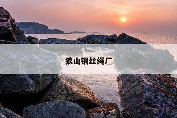 狼山钢丝绳厂