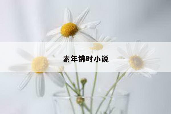 素年锦时小说