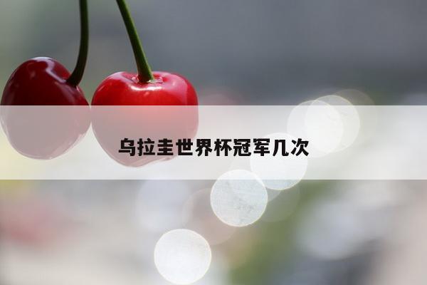 乌拉圭世界杯冠军几次