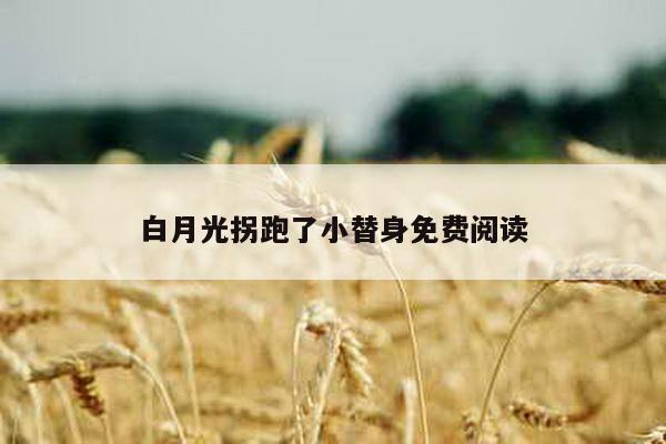 白月光拐跑了小替身免费阅读