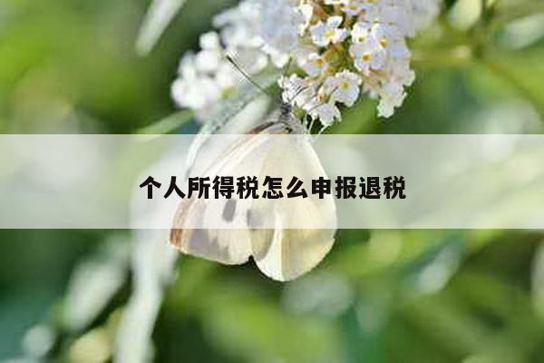 个人所得税怎么申报退税