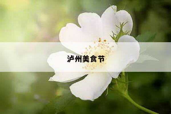 泸州美食节