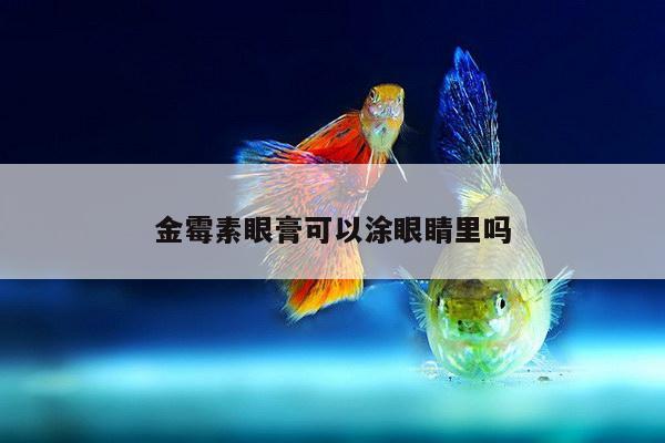 金霉素眼膏可以涂眼睛里吗
