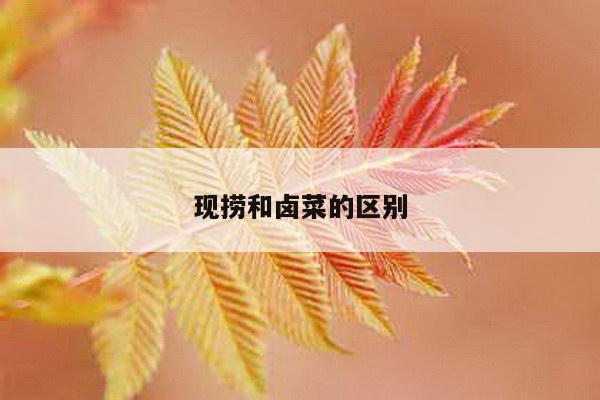 现捞和卤菜的区别